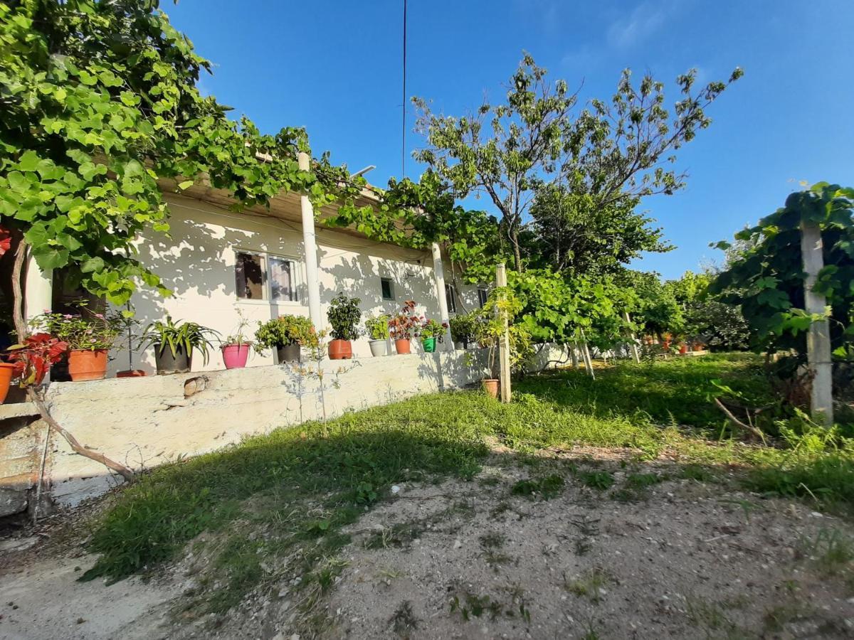 Hillside Apartments Borsh Exterior foto